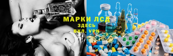 стаф Богородск