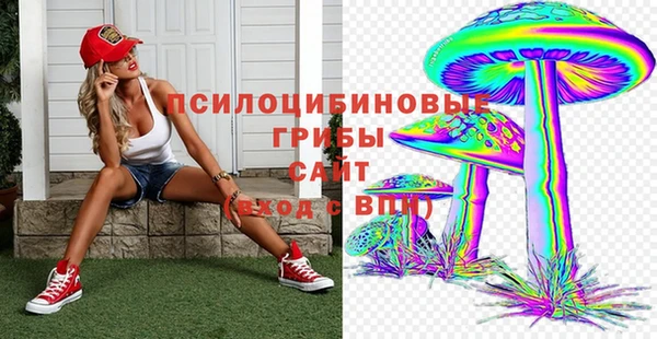 ALPHA PVP Богородицк