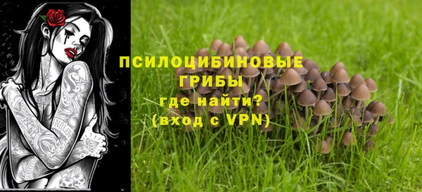 стаф Богородск