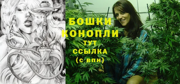 2c-b Белокуриха