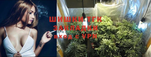 стаф Богородск