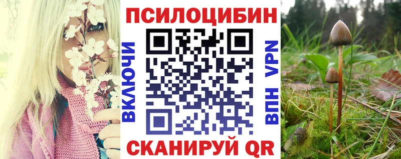 OMG зеркало  Яровое  Псилоцибиновые грибы мицелий 